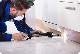 general_pest_control Control 2