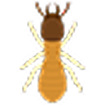 Termite