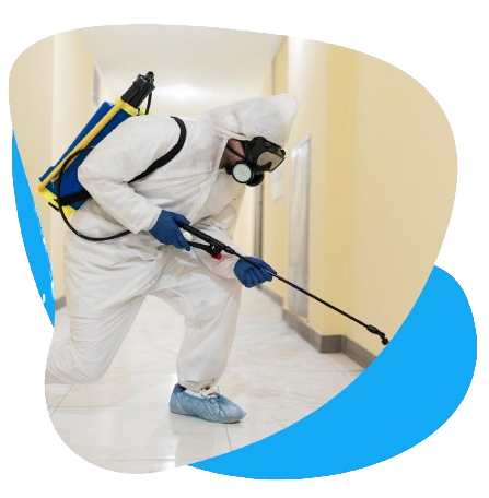 Pest Control
